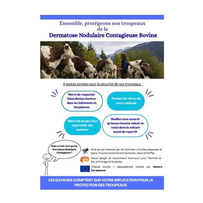 Protégeons ensemble nos troupeaux de la Dermatose Nodulaire Contagieuse Bovine