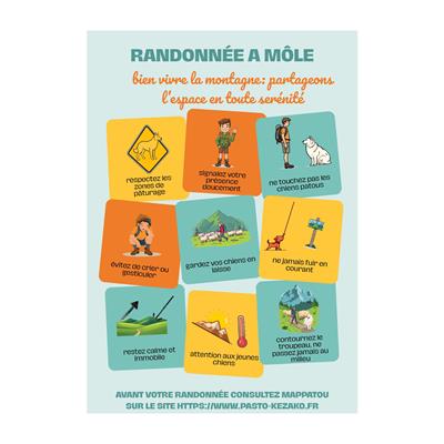 Bien vivre la montagne : partageons l'alpage en toute sérénité