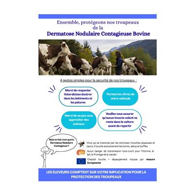 Protégeons ensemble nos troupeaux de la Dermatose Nodulaire Contagieuse Bovine