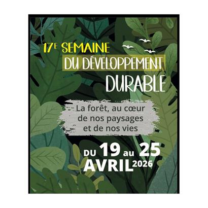 Randonnée nature en forêt