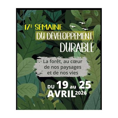 Randonnée nature en forêt